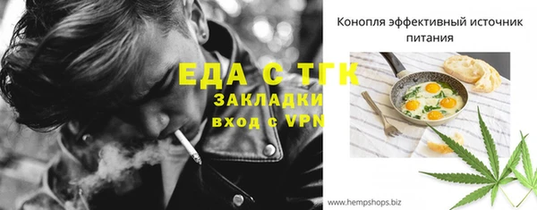 мдпв Богородицк
