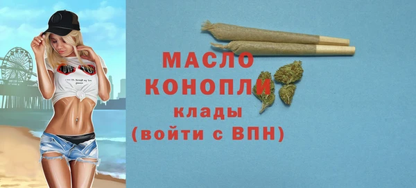 мдпв Богородицк