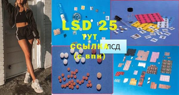 крисы Белокуриха