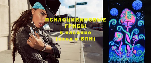 СК Касимов