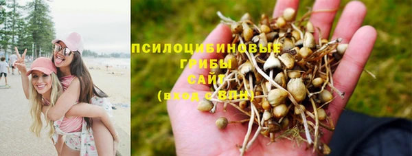 крисы Белокуриха