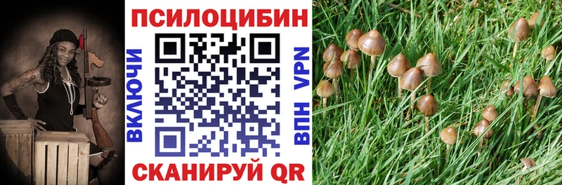 кракен ТОР  Котово  Псилоцибиновые грибы прущие грибы 