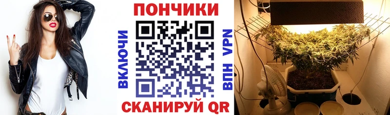 дарнет шоп  Котово  Бошки марихуана ГИДРОПОН 